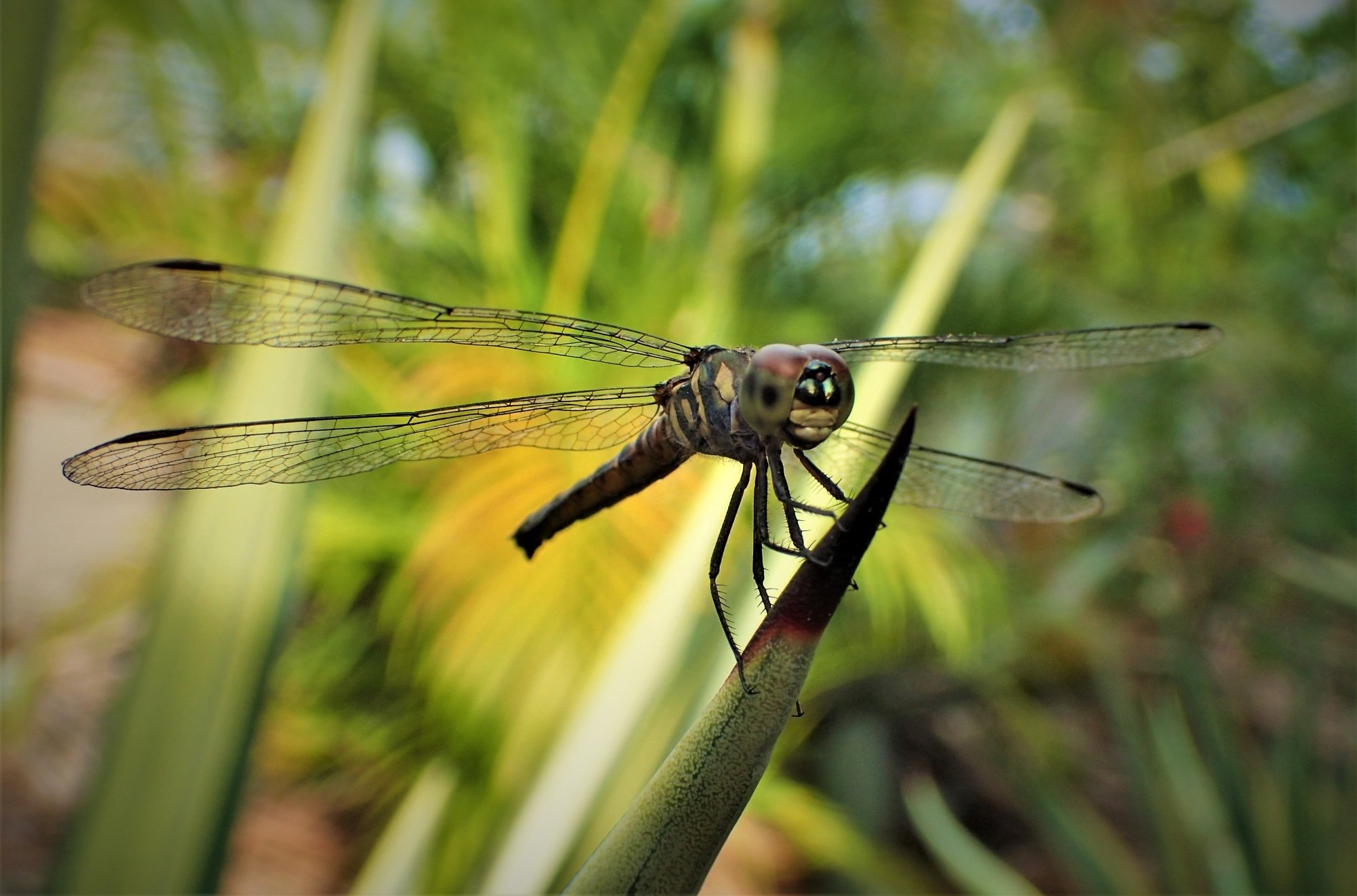 🏞️ 가시바루 습지(가시바루시쓰겐) 이미지 7